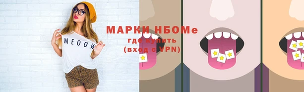 Альфа ПВП Ладушкин