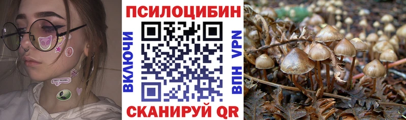 Галлюциногенные грибы Psilocybe  Ильский 